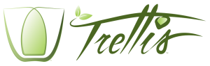 logo Trellis Transit Technologies, Inc. 