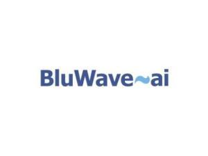 BluWave Inc.