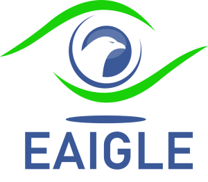 EAIGLE Inc.