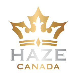 Haze Automotive logo