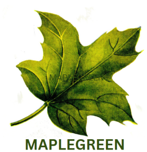 Maple Green Digital Technologies Ltd
