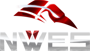 Northern World Entertainment Software Inc. logo