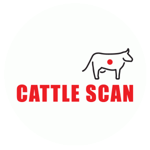 Cattle Scan