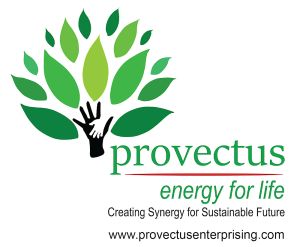 Provectus Enterprising Inc.